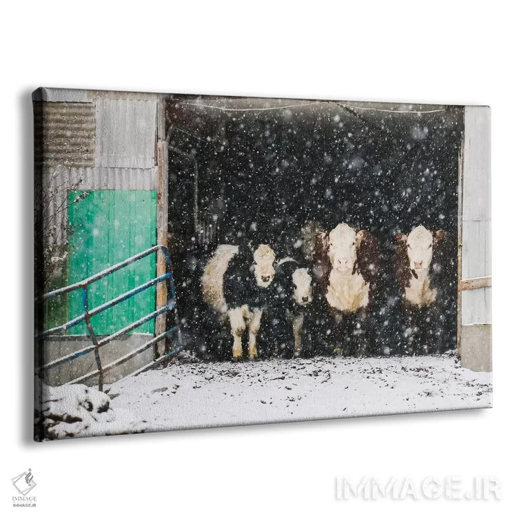 تابلو زمستان در انبار اثر دبرا اوبرتانک - نمای پرسپکتیو محصول