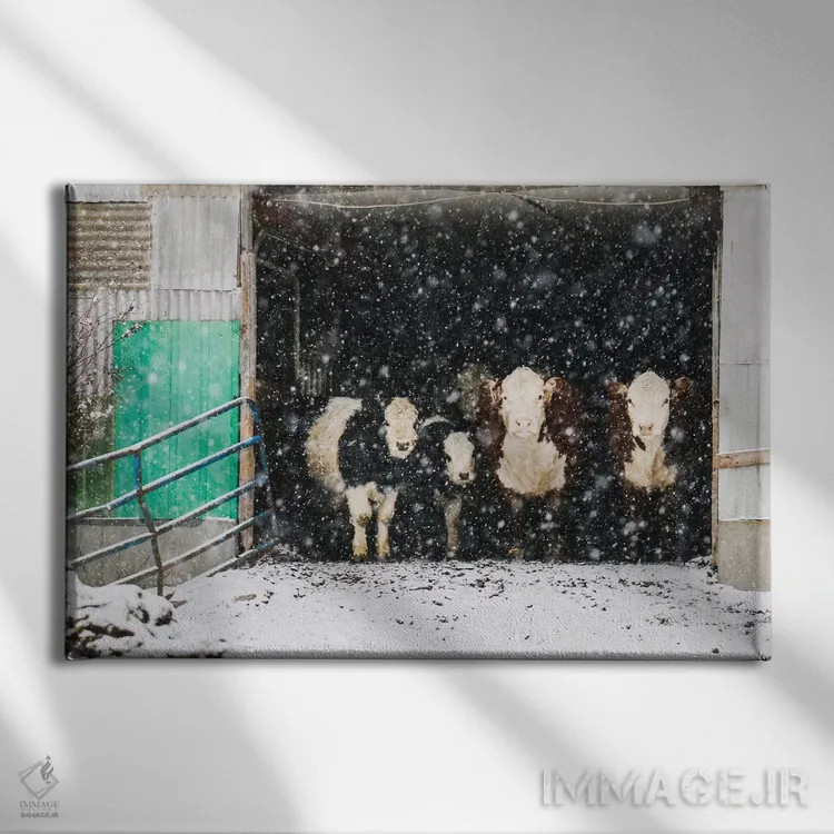 تابلو زمستان در انبار اثر دبرا اوبرتانک - نمای روبهرو روی دیوار