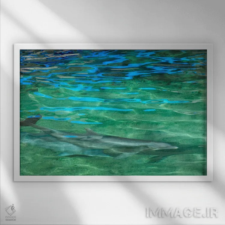 تابلو دلفین اثر دنیس فراتس - نمای قابدار سفید