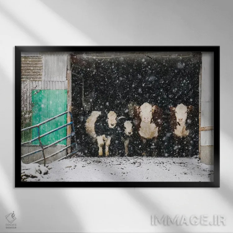 تابلو زمستان در انبار اثر دبرا اوبرتانک - نمای قابدار مشکی