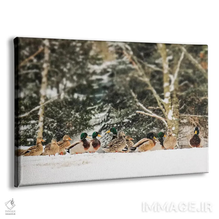 تابلو بازی زمستانی اثر دبرا اوبرتانک - نمای پرسپکتیو محصول