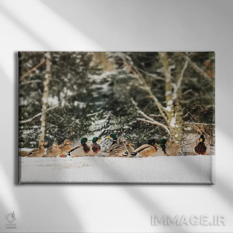 تابلو بازی زمستانی اثر دبرا اوبرتانک - نمای روبهرو روی دیوار