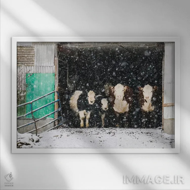 تابلو زمستان در انبار اثر دبرا اوبرتانک - نمای قابدار سفید