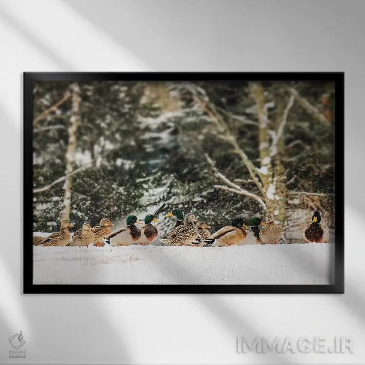 تابلو بازی زمستانی اثر دبرا اوبرتانک - نمای قابدار مشکی