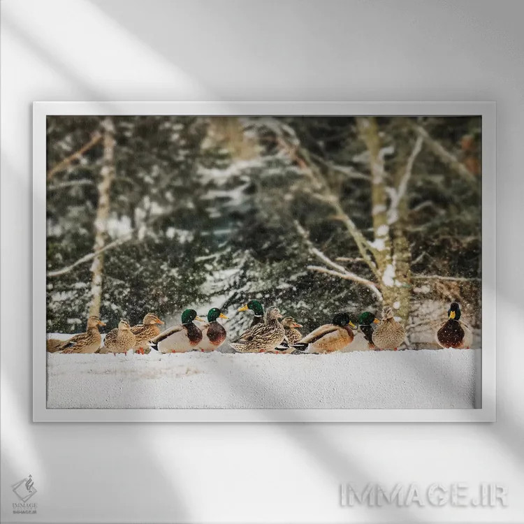 تابلو بازی زمستانی اثر دبرا اوبرتانک - نمای قابدار سفید