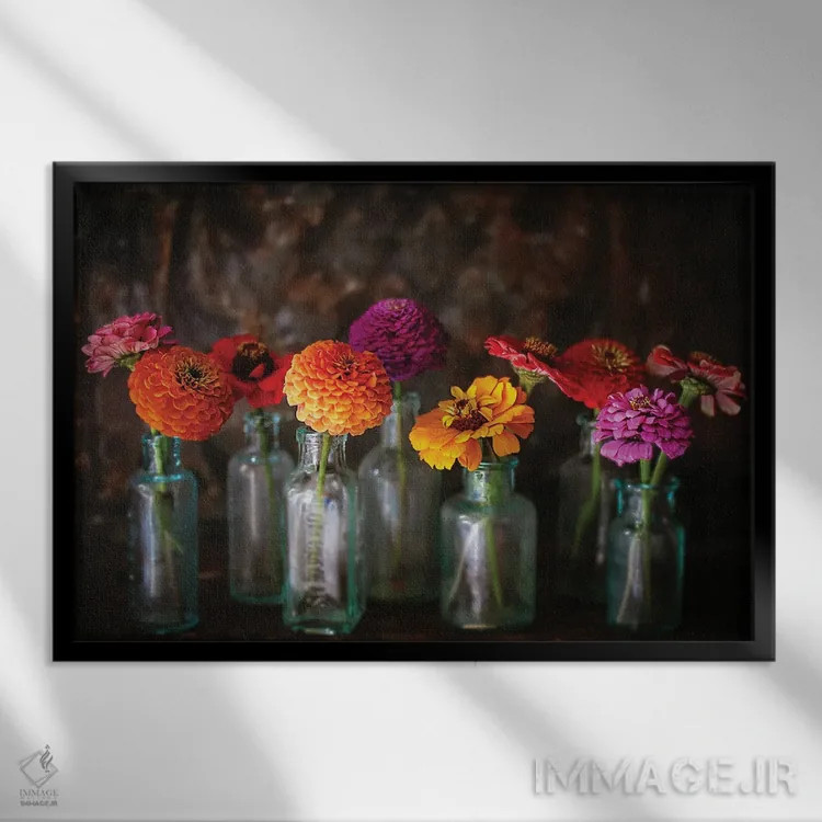 تابلو گلهای زینیا در بطریهای قدیمی اثر دبرا اوبرتانک - نمای قابدار مشکی
