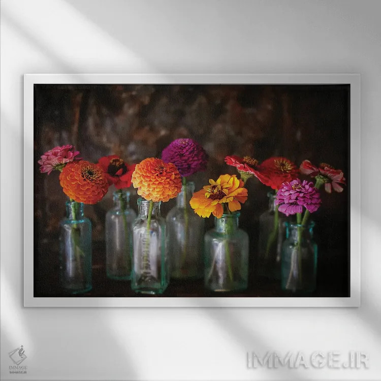 تابلو گلهای زینیا در بطریهای قدیمی اثر دبرا اوبرتانک - نمای قابدار سفید