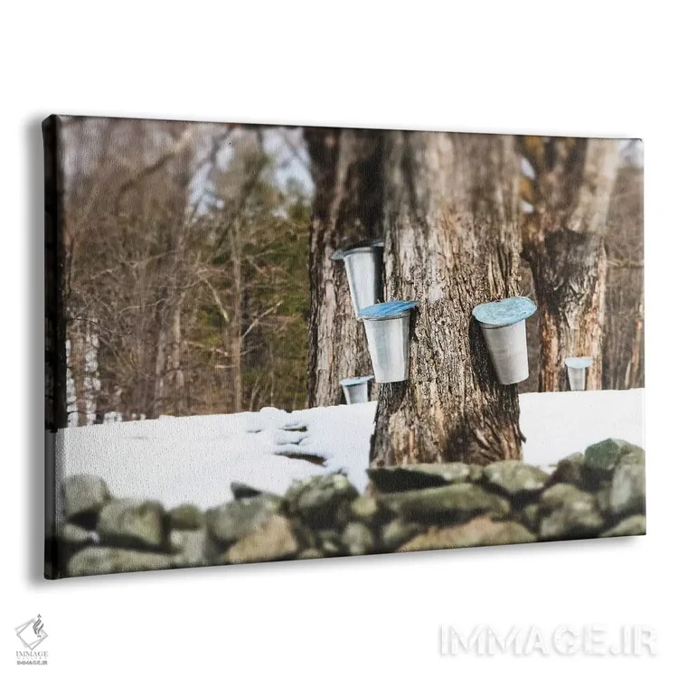 تابلو تبدیل شیره افرا به شکر (فرآیند سنتی) اثر دبرا اوبرتانک - نمای پرسپکتیو محصول