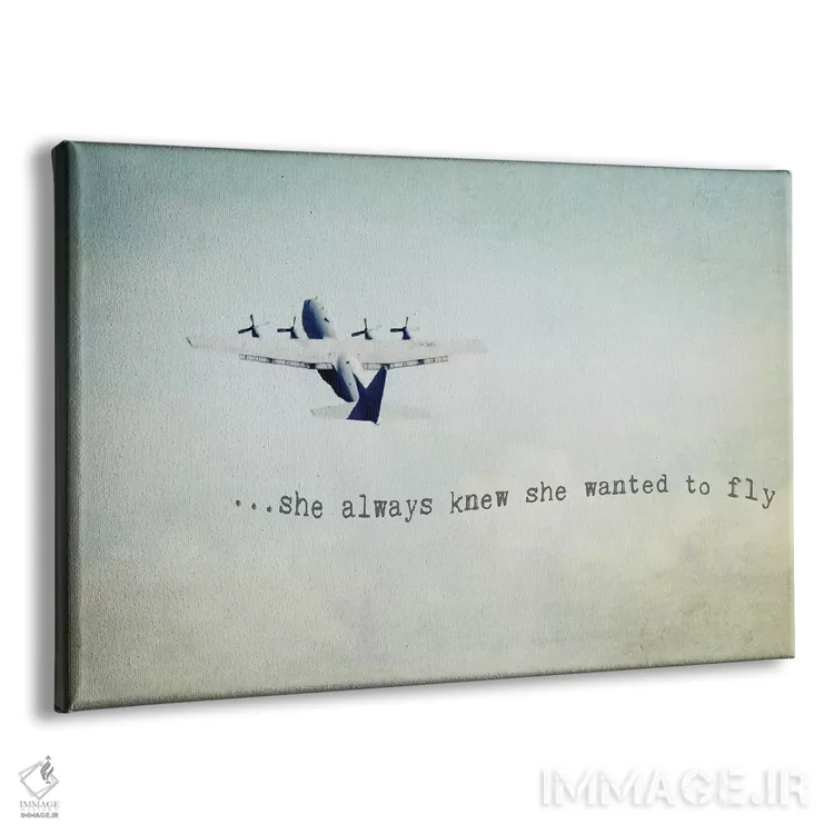 تابلو او میخواست پرواز کند (زن) اثر دبرا اوبرتانک - نمای پرسپکتیو محصول
