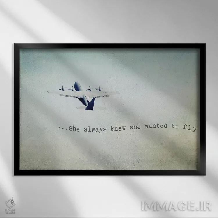 تابلو او میخواست پرواز کند (زن) اثر دبرا اوبرتانک - نمای قابدار مشکی