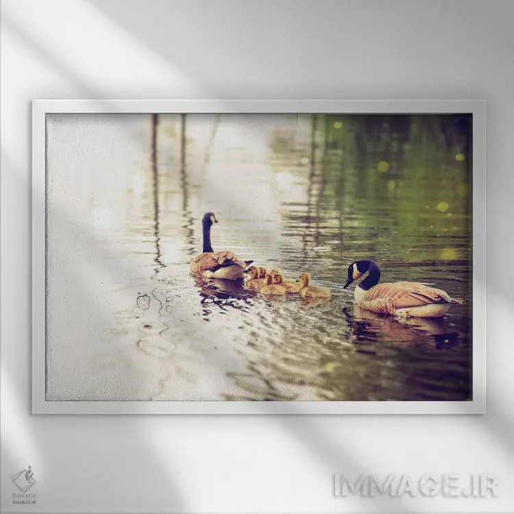 تابلو خانواده اثر دبرا اوبرتانک - نمای قابدار سفید