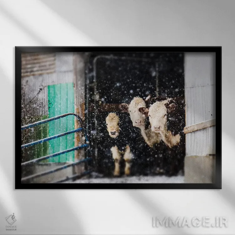 تابلو زمستان حیات خلوت (انبار و حیاط روستایی) اثر دبرا اوبرتانک - نمای قابدار مشکی