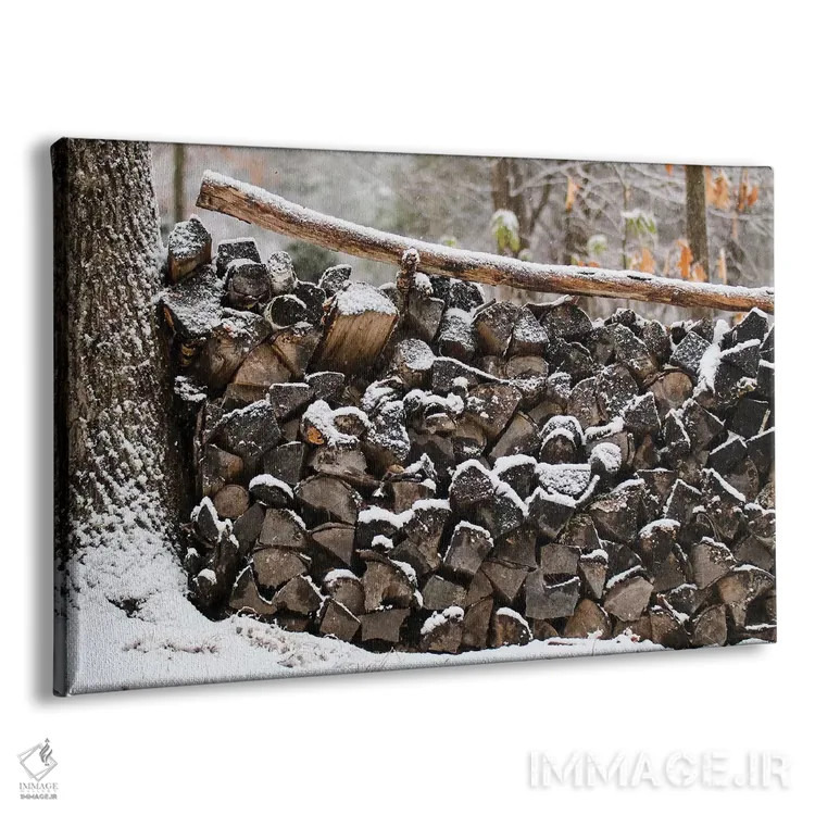 تابلو کُپه چوب اثر دبرا اوبرتانک - نمای پرسپکتیو محصول