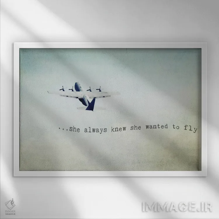 تابلو او میخواست پرواز کند (زن) اثر دبرا اوبرتانک - نمای قابدار سفید