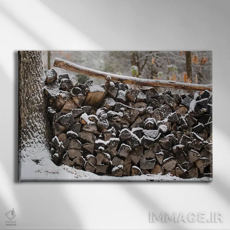 تابلو کُپه چوب اثر دبرا اوبرتانک - نمای روبهرو روی دیوار