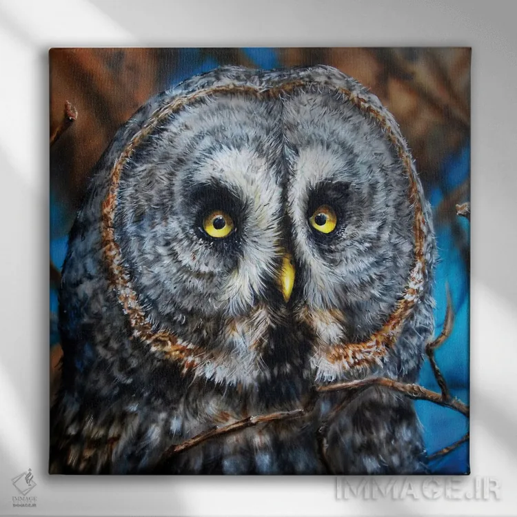 تابلو جغد خاکستری بزرگ اثر درک تورکوت - نمای روبهرو روی دیوار