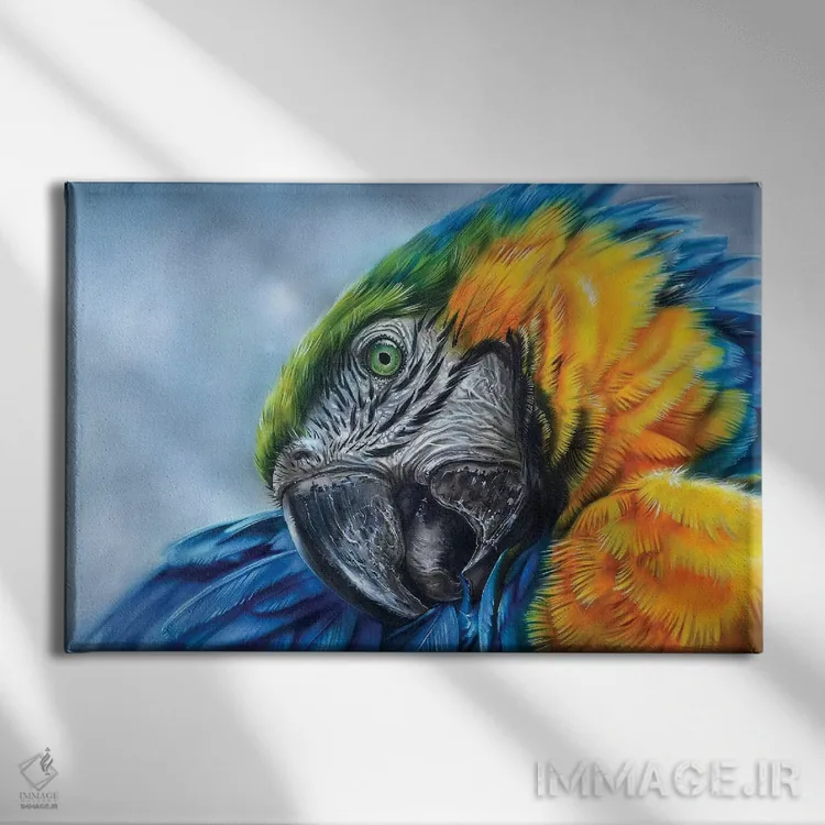 تابلو طوطی I اثر درک تورکوت - نمای روبهرو روی دیوار