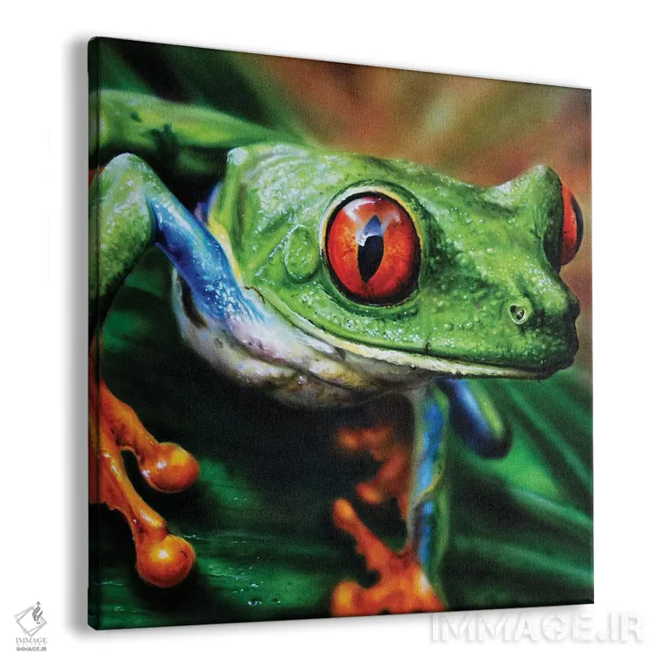 تابلو قورباغه درختی II اثر درک تورکوت - نمای پرسپکتیو محصول