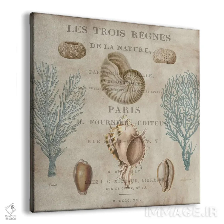 تابلو دریا II (فرانسوی) اثر دبورا دوولیه - نمای پرسپکتیو محصول