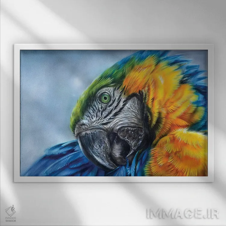 تابلو طوطی I اثر درک تورکوت - نمای قابدار سفید