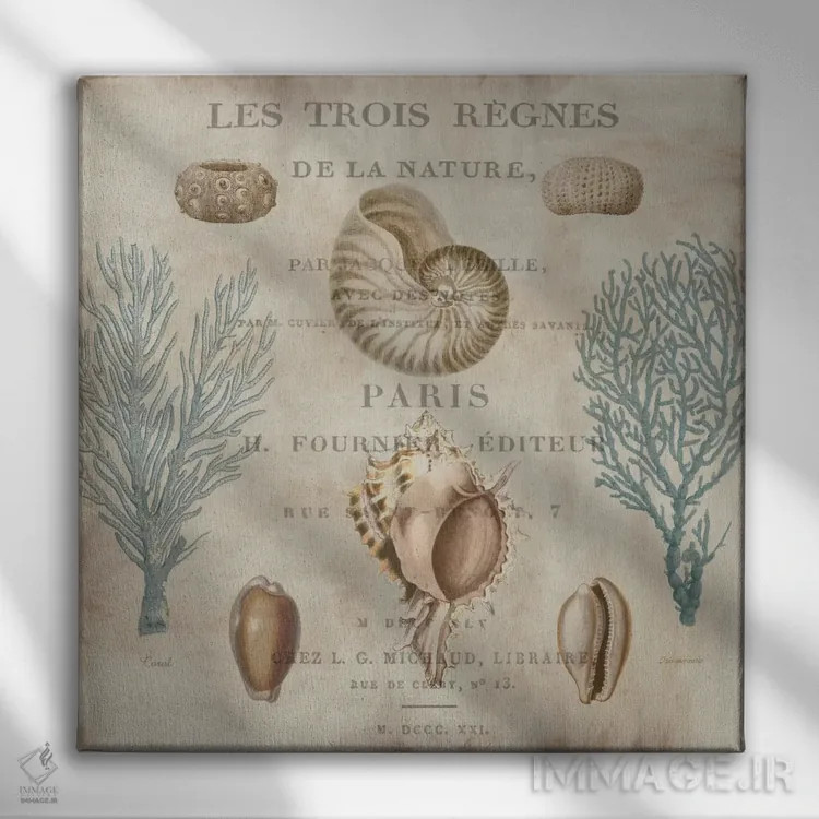 تابلو دریا II (فرانسوی) اثر دبورا دوولیه - نمای روبهرو روی دیوار