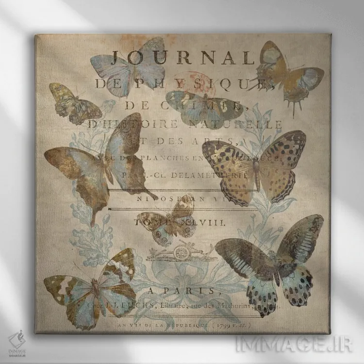 تابلو پروانه I (فرانسوی) اثر دبورا دوولیه - نمای روبهرو روی دیوار