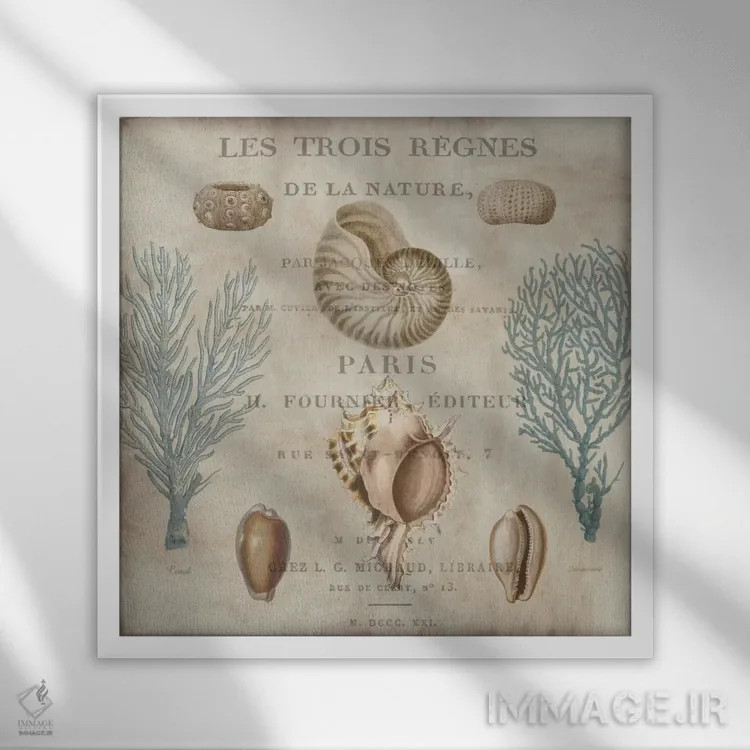 تابلو دریا II (فرانسوی) اثر دبورا دوولیه - نمای قابدار سفید