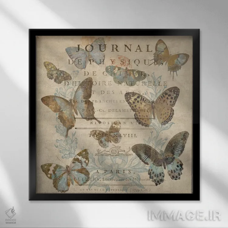 تابلو پروانه I (فرانسوی) اثر دبورا دوولیه - نمای قابدار مشکی