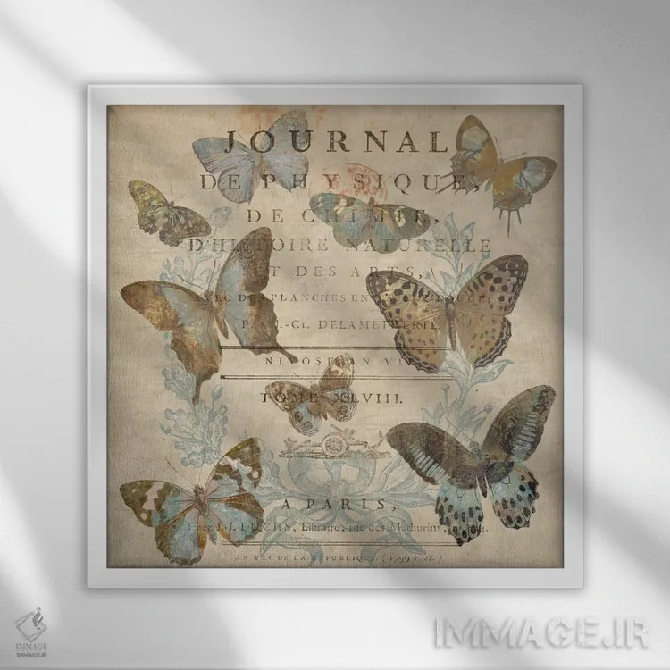 تابلو پروانه I (فرانسوی) اثر دبورا دوولیه - نمای قابدار سفید