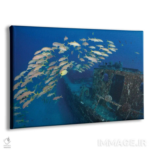 تابلو Mulloidichthys Vanicolensis, On A Shipwreck Off Lahaina, Maui, Hawaii,یک گروه ماهی بز زردباله در کشتی غرقشده، لاهاینا، مائوئی، هاوایی اثر دیوید فلیتهام - نمای پرسپکتیو محصول