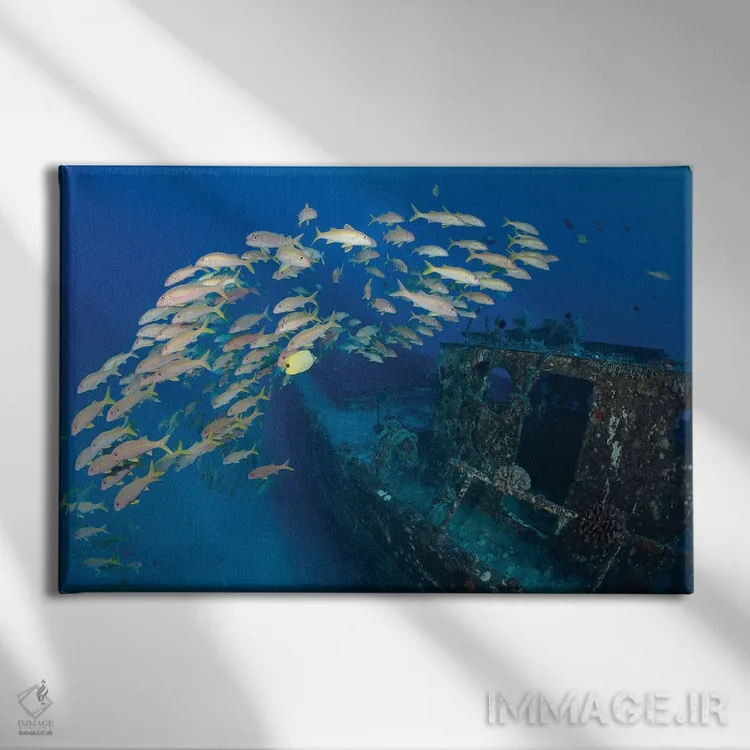 تابلو Mulloidichthys Vanicolensis, On A Shipwreck Off Lahaina, Maui, Hawaii,یک گروه ماهی بز زردباله در کشتی غرقشده، لاهاینا، مائوئی، هاوایی اثر دیوید فلیتهام - نمای روبهرو روی دیوار