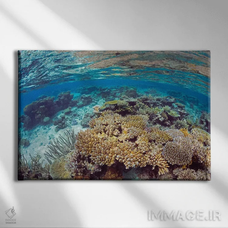 تابلو Fiji,منظره آبهای کمعمق صخره مرجانی، جزیره کادااو، فیجی اثر دیوید فلیتهام - نمای روبهرو روی دیوار