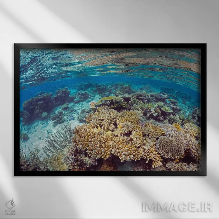 تابلو Fiji,منظره آبهای کمعمق صخره مرجانی، جزیره کادااو، فیجی اثر دیوید فلیتهام - نمای قابدار مشکی