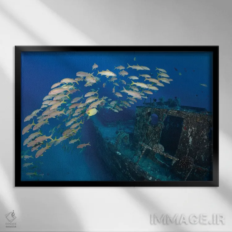 تابلو Mulloidichthys Vanicolensis, On A Shipwreck Off Lahaina, Maui, Hawaii,یک گروه ماهی بز زردباله در کشتی غرقشده، لاهاینا، مائوئی، هاوایی اثر دیوید فلیتهام - نمای قابدار مشکی