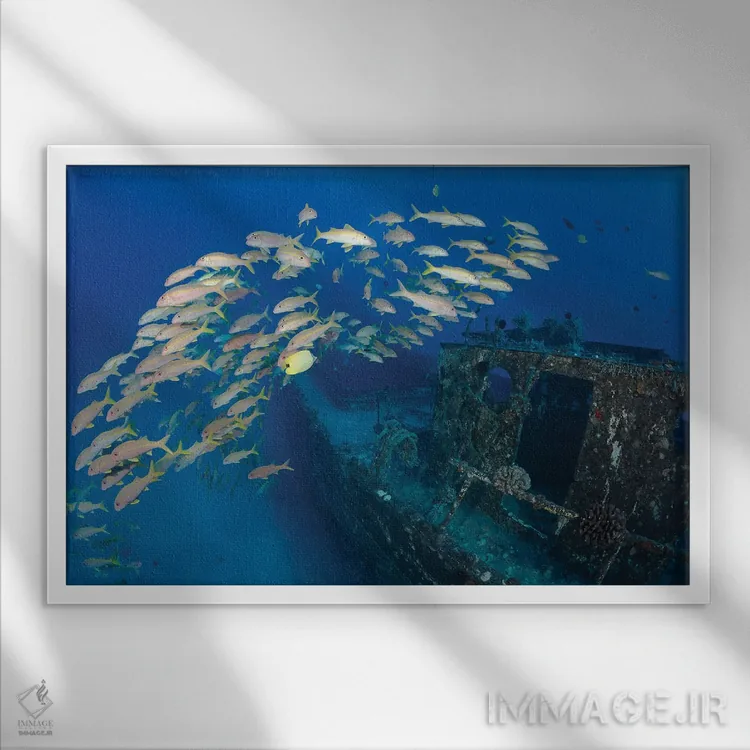 تابلو Mulloidichthys Vanicolensis, On A Shipwreck Off Lahaina, Maui, Hawaii,یک گروه ماهی بز زردباله در کشتی غرقشده، لاهاینا، مائوئی، هاوایی اثر دیوید فلیتهام - نمای قابدار سفید