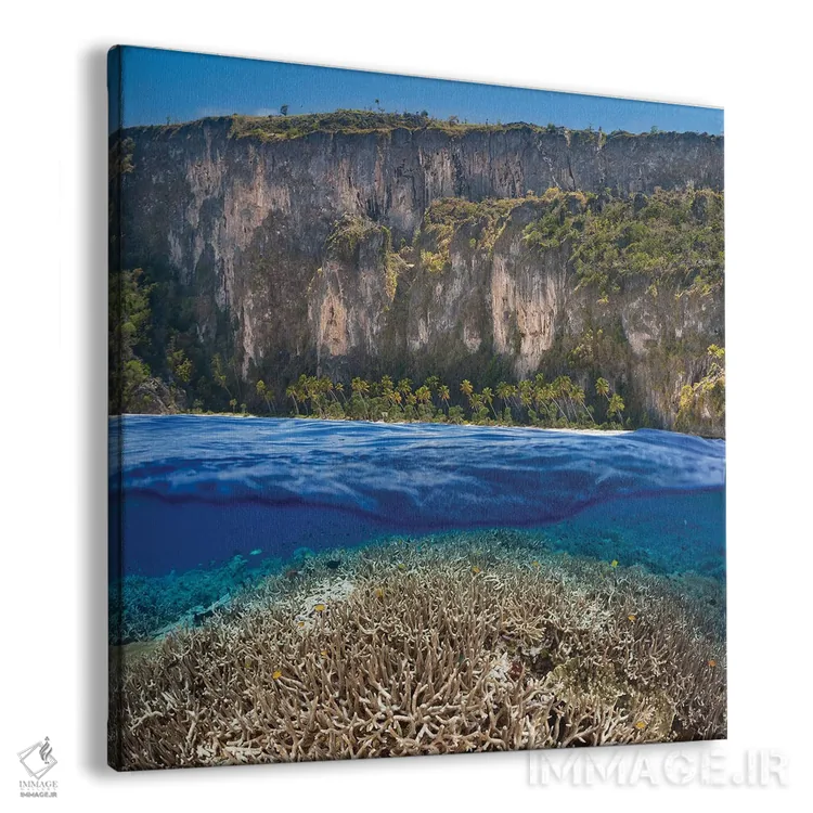 تابلو منظره دوگانه با صخره مرجانی و جزیره اندونزیایی اثر دیوید فلیتهام - نمای پرسپکتیو محصول