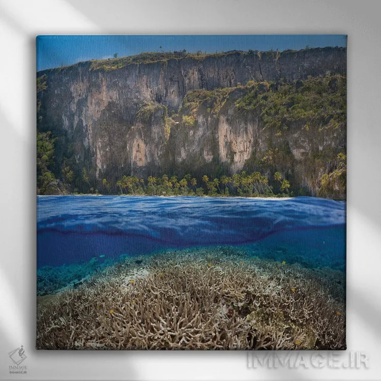 تابلو منظره دوگانه با صخره مرجانی و جزیره اندونزیایی اثر دیوید فلیتهام - نمای روبهرو روی دیوار