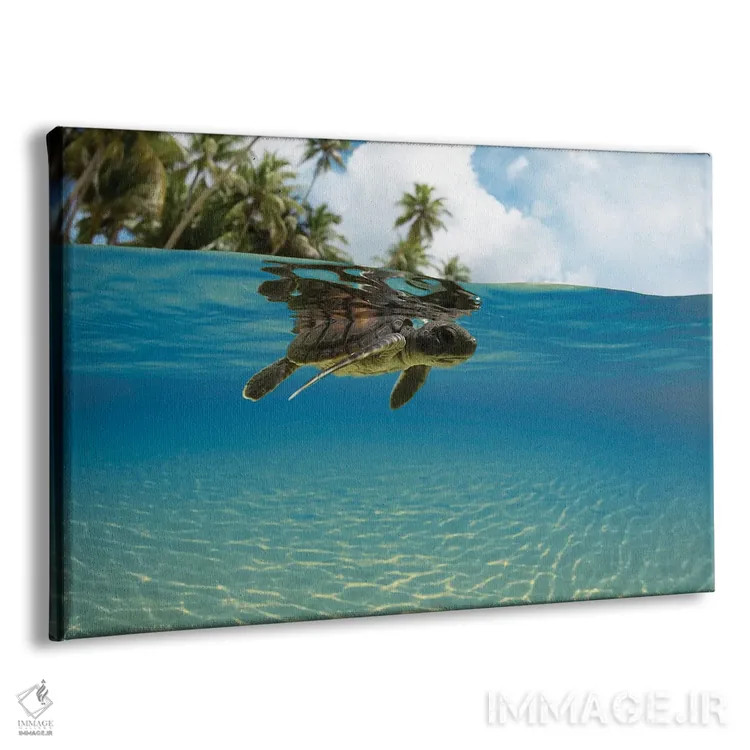 تابلو Micronesia,نمای دوگانه تولد نوزاد لاکپشت سبز دریایی وارد اقیانوس، جزیره یاپ، میکرونزی اثر دیوید فلیتهام - نمای پرسپکتیو محصول