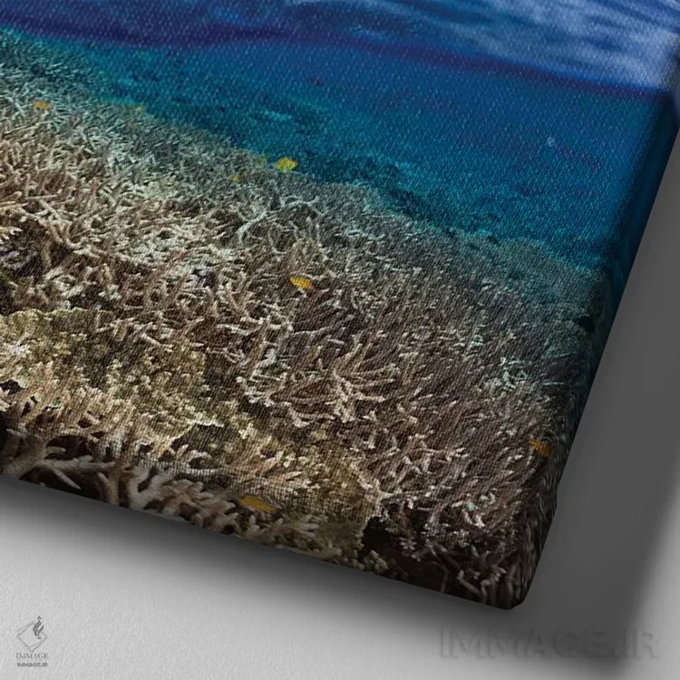 تابلو منظره دوگانه با صخره مرجانی و جزیره اندونزیایی اثر دیوید فلیتهام - نمای نزدیک بافت بوم