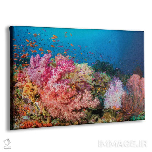 تابلو صخرههای آلسیوناریا و گورگونی با گله ماهی آنتیاس، غالب بر این صحنه صخرهای فیجی اثر دیوید فلیتهام - نمای پرسپکتیو محصول