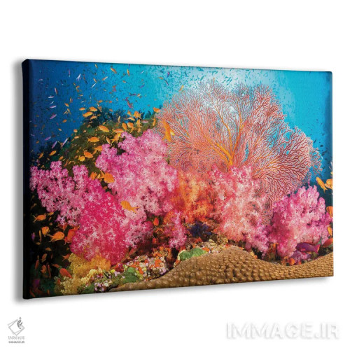 تابلو صخرههای آلسیوناریا و گورگونی با گله ماهی آنتیاس، غالب بر این صحنه صخرهای فیجی اثر دیوید فلیتهام - نمای پرسپکتیو محصول