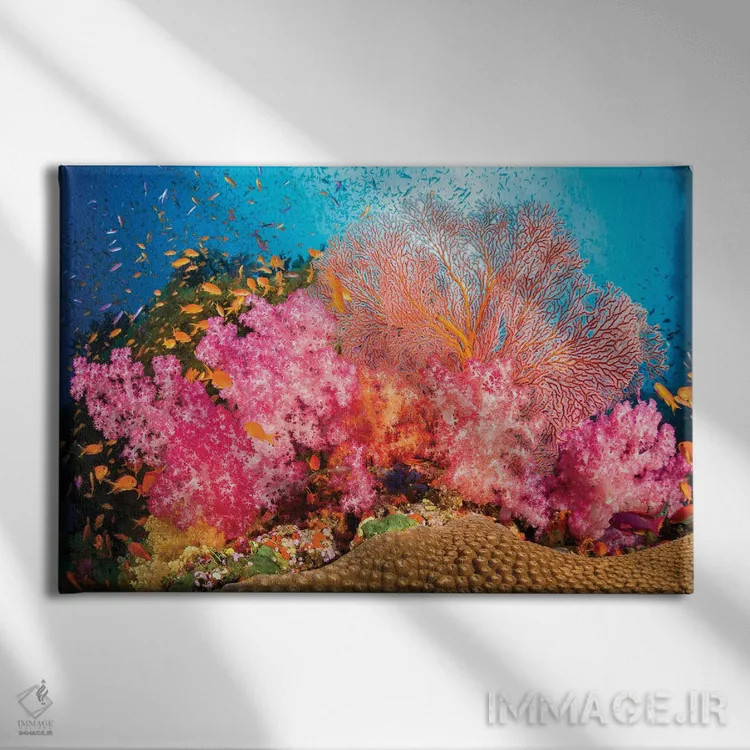 تابلو صخرههای آلسیوناریا و گورگونی با گله ماهی آنتیاس، غالب بر این صحنه صخرهای فیجی اثر دیوید فلیتهام - نمای روبهرو روی دیوار