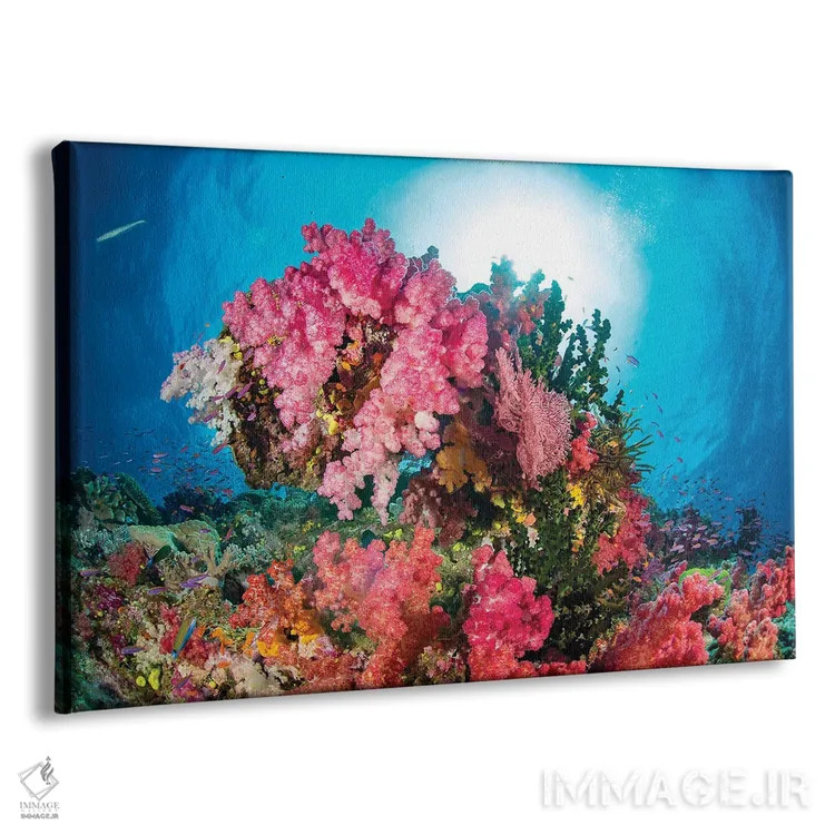 تابلو Fiji,آلسیوناریا و گورگونی همراه با ماهی آنتیاس، فیجی اثر دیوید فلیتهام - نمای پرسپکتیو محصول