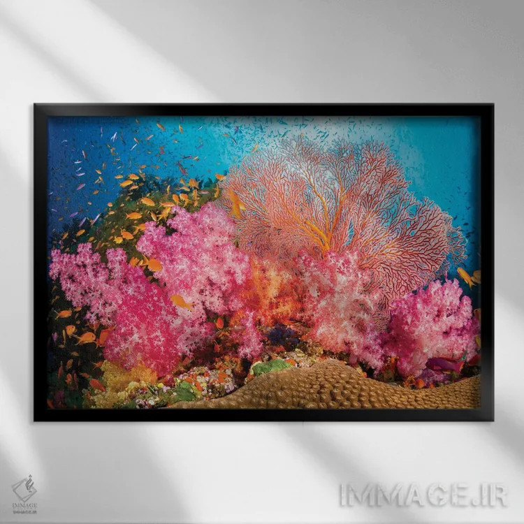 تابلو صخرههای آلسیوناریا و گورگونی با گله ماهی آنتیاس، غالب بر این صحنه صخرهای فیجی اثر دیوید فلیتهام - نمای قابدار مشکی