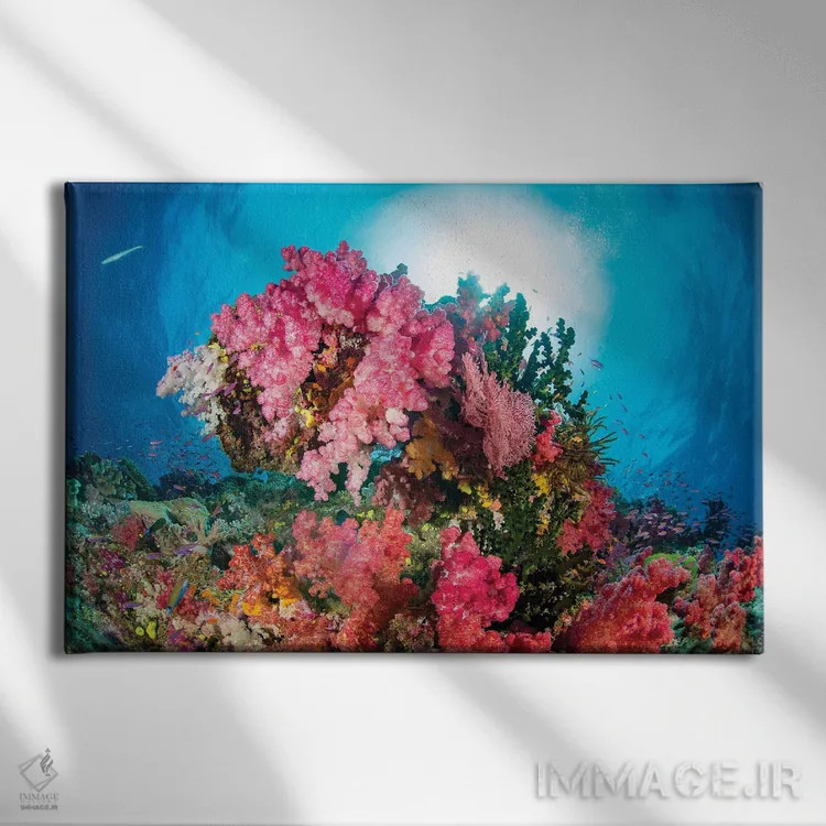 تابلو Fiji,آلسیوناریا و گورگونی همراه با ماهی آنتیاس، فیجی اثر دیوید فلیتهام - نمای روبهرو روی دیوار