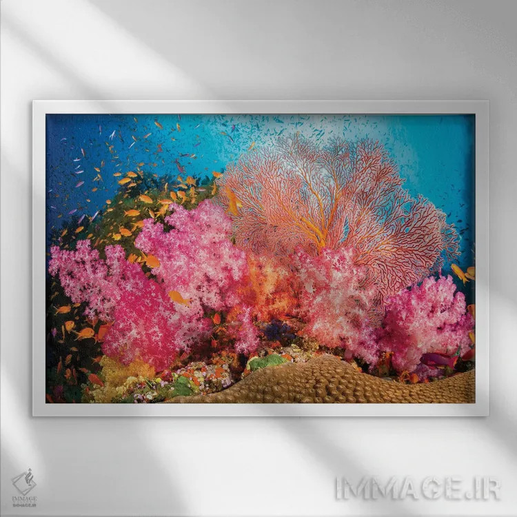 تابلو صخرههای آلسیوناریا و گورگونی با گله ماهی آنتیاس، غالب بر این صحنه صخرهای فیجی اثر دیوید فلیتهام - نمای قابدار سفید