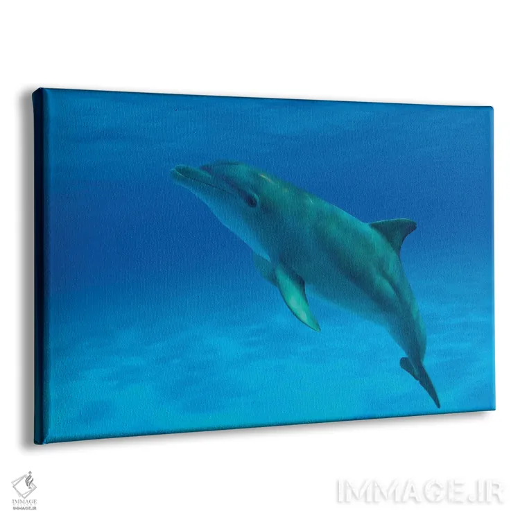 تابلو Curacao,دلفین پوزهبطری آتلانتیک (تورسیوپس ترانکاتوس) نزدیک سطح آب، کوراسائو اثر دیوید فلیتهام - نمای پرسپکتیو محصول