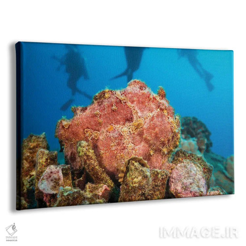 تابلو Curacao,ماهی ملفیلک خالدار (آلوترس اسکریپتوس)، کوراسائو اثر دیوید فلیتهام - نمای پرسپکتیو محصول