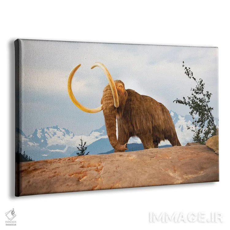 تابلو تصویر ترکیبی دیجیتالی: پریهای دریایی در میان دلفینها و مرجانها اثر دیوید فلیتهام - نمای پرسپکتیو محصول