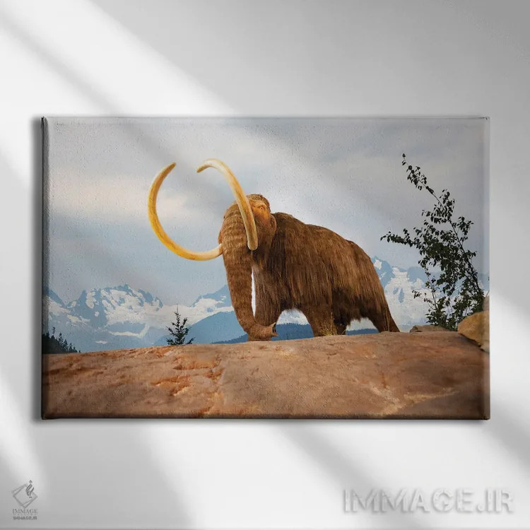 تابلو تصویر ترکیبی دیجیتالی: پریهای دریایی در میان دلفینها و مرجانها اثر دیوید فلیتهام - نمای روبهرو روی دیوار